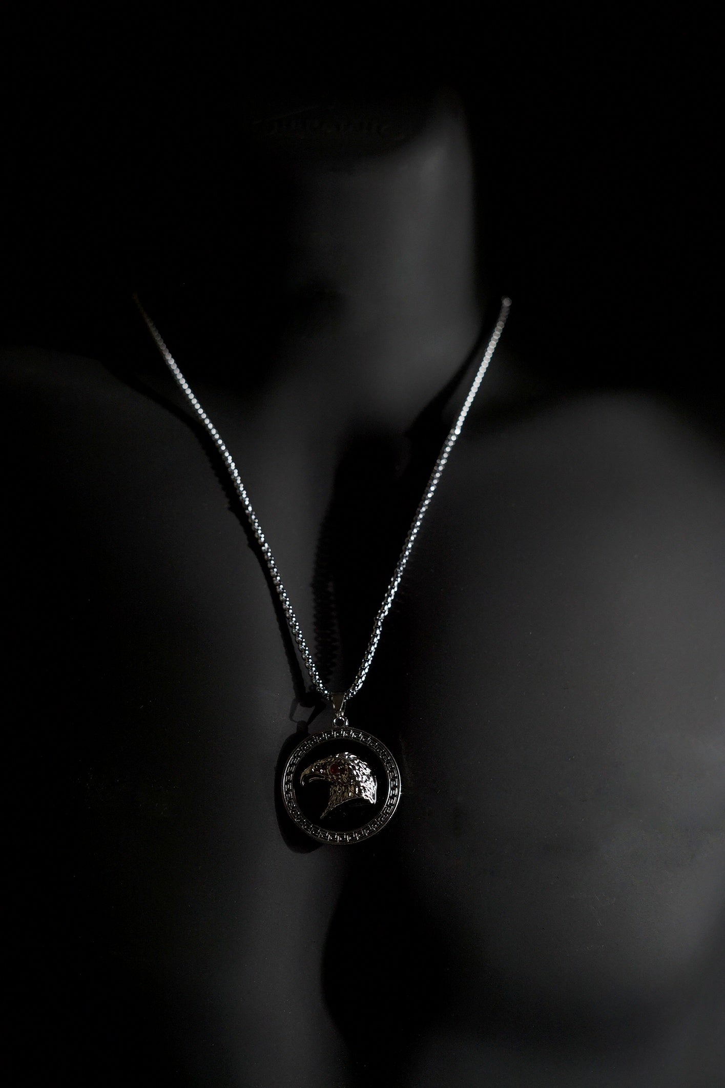 Necklace | Eagle Head Pendant | Men & Women | Anti-tarnish Stainless Steel | Silver Finish | Gothic Biker Style | Statement Jewellery