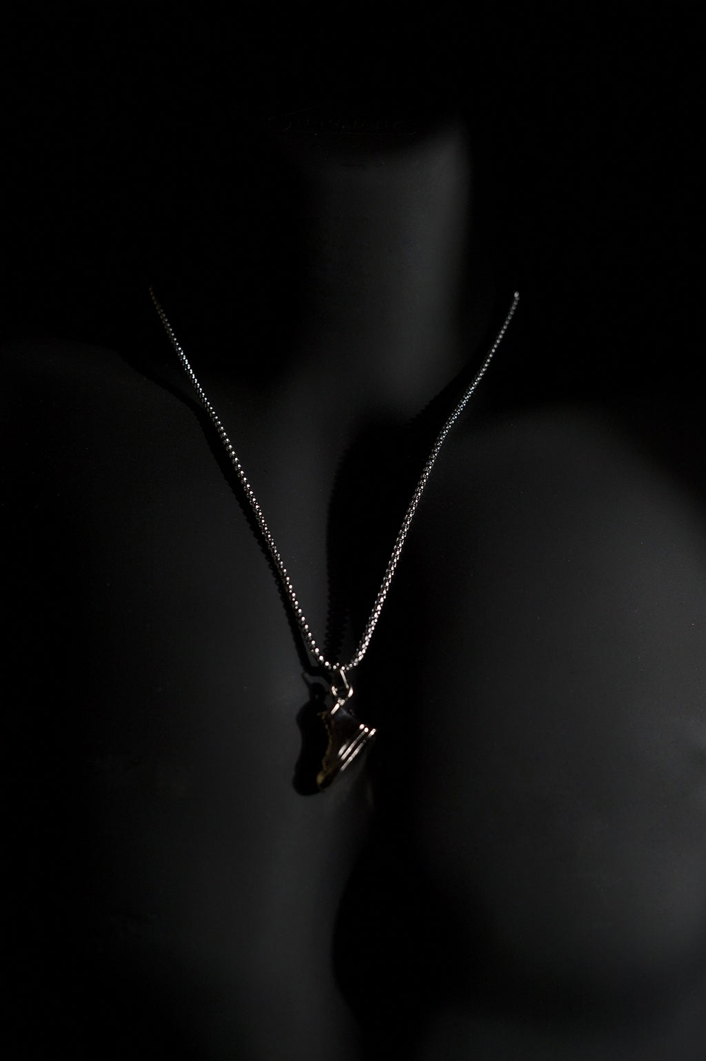 Necklace | Sneaker Shoe Pendant | Men & Women | Anti-tarnish Stainless Steel | Silver Finish | Streetwear Hip-Hop Style | Statement Jewellery
