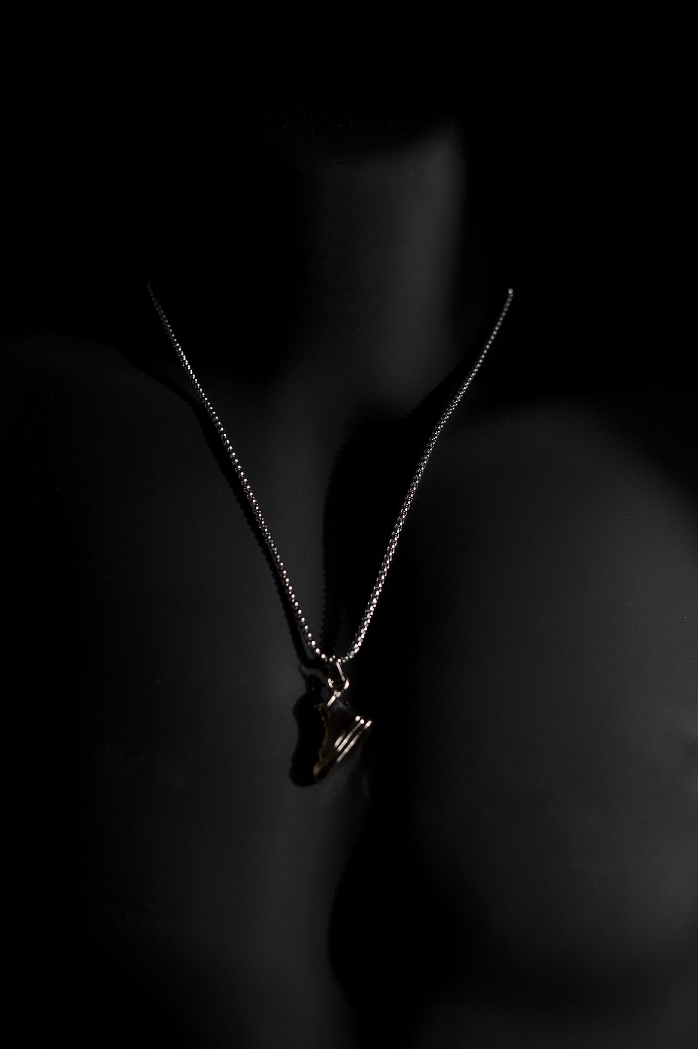 Necklace | Sneaker Shoe Pendant | Men & Women | Anti-tarnish Stainless Steel | Silver Finish | Streetwear Hip-Hop Style | Statement Jewellery