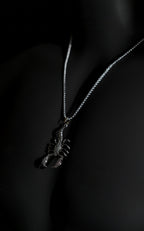 Necklace | Scorpion Pendant | Men & Women | Anti-tarnish Stainless Steel | Silver Finish | Gothic Design | Statement Jewellery