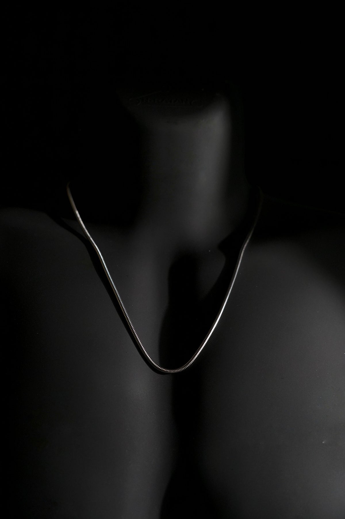 Necklace | Snake Chain | Men & Women | Anti-tarnish Stainless Steel | Silver Finish | Minimalist Style | Statement Jewellery