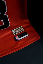 NBA | Chicago Bulls | MICHAEL JORDAN #23 | 1996-98 | Icon Edition | Red | Sleeveless Kit