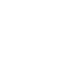 Barracuda